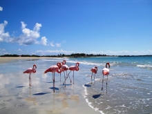 Imagen Puerto Villamil 